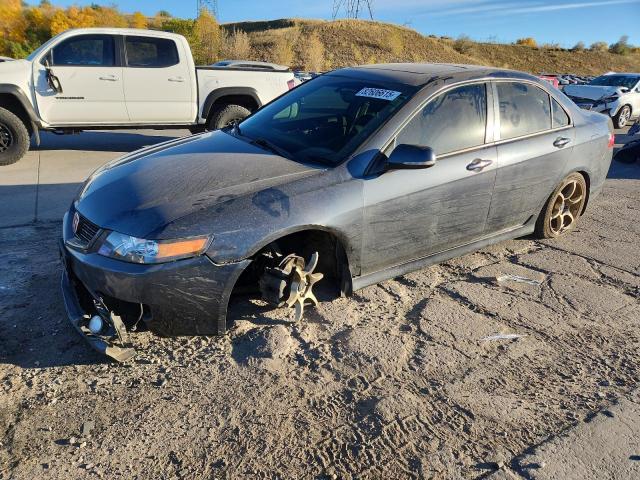 ACURA TSX 2008 with VIN JH4CL958X8C015928 - Photo from auction