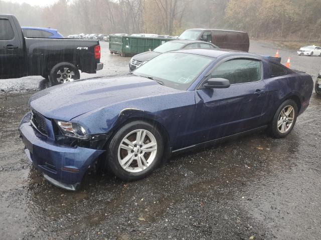 Photo 1 from auction – 2011 FORD MUSTANG with VIN 1ZVBP8AM7B5152199