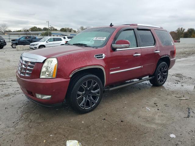 CADILLAC ESCALADE P 2010 with VIN 1GYUKCEF5AR209705 - Photo from auction