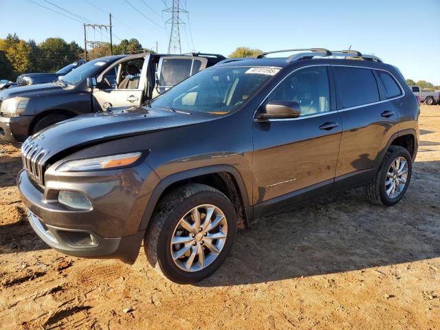JEEP CHEROKEE L 2014 with VIN 1C4PJMDB0EW201304 - Photo from auction