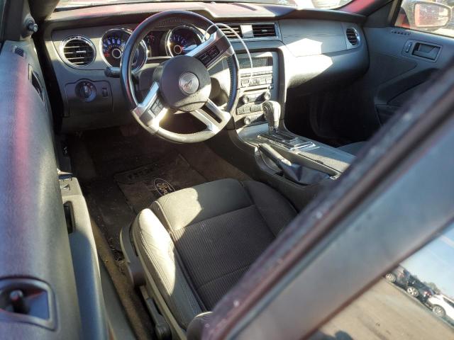 Photo 8 from auction – 2014 FORD MUSTANG with VIN 1ZVBP8EM7E5222234