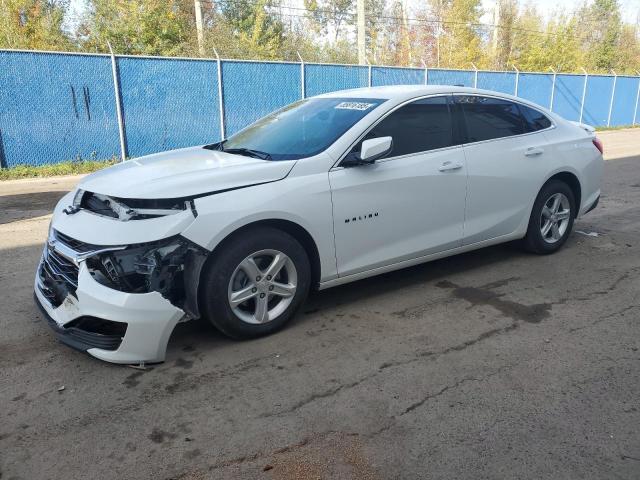 Photo 1 from auction – 2024 CHEVROLET MALIBU LS with VIN 1G1ZB5ST6RF194669
