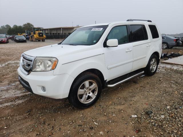 HONDA PILOT EXL 2011 with VIN 5FNYF3H59BB038883 - Photo from auction