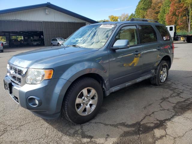 FORD ESCAPE LIMITED 2010 with VIN 1FMCU9E74AKD36408 - Photo from auction