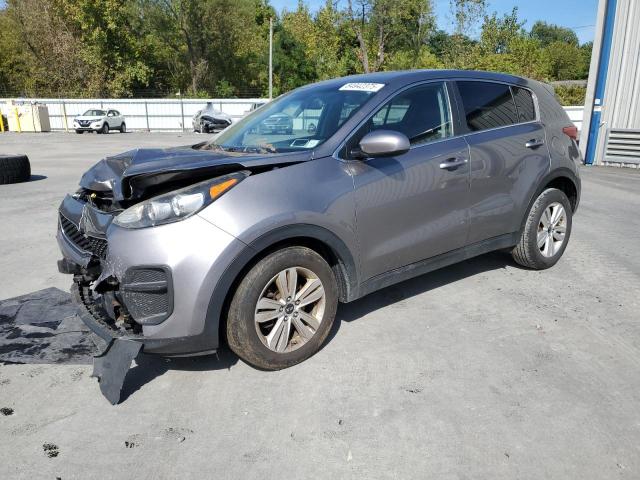 KIA SPORTAGE 2017 with VIN KNDPM3AC3H7299497 - Photo from auction