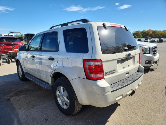 Photo 2 from auction – 2011 FORD ESCAPE XLT with VIN 1FMCU0DG4BKA72783