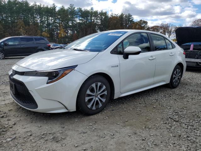 TOYOTA COROLLA LE 2020 with VIN JTDEBRBE4LJ008520 - Photo from auction