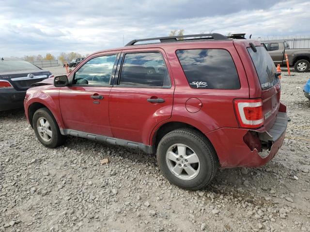 Photo 2 from auction – 2010 FORD ESCAPE XLT with VIN 1FMCU0D71AKB28449