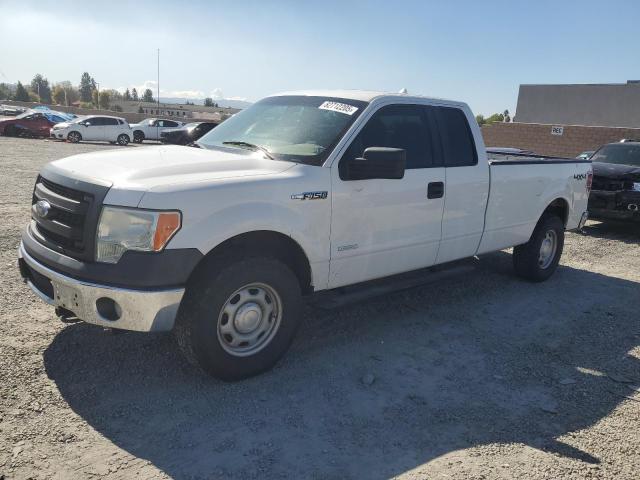 FORD F150 SUPER 2013 with VIN 1FTFX1ET5DKF74649 - Photo from auction