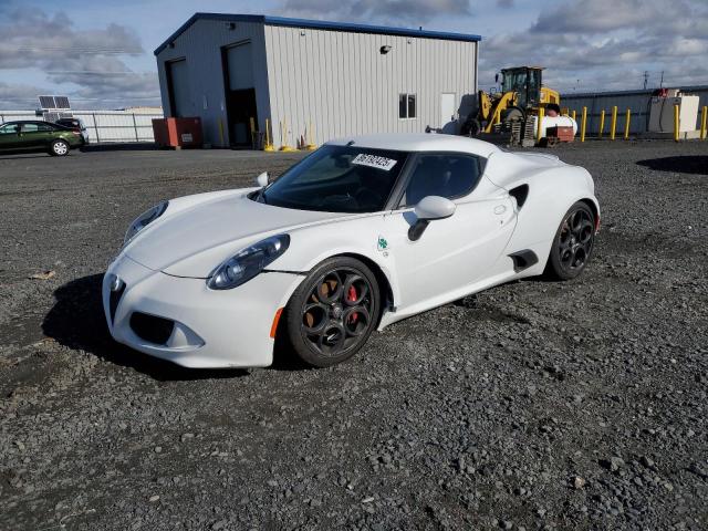 ALFA ROMEO 4C 2017 with VIN ZARBAAA48HM245037 - Photo from auction