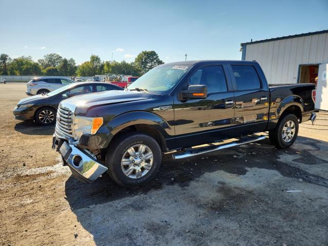 FORD F150 SUPER 2010 with VIN 1FTEW1C84AFA96208 - Photo from auction