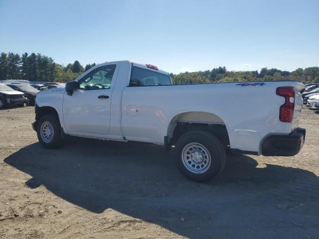 Photo 2 from auction – 2025 CHEVROLET SILVERADO with VIN 3GCNKAED3SG280481