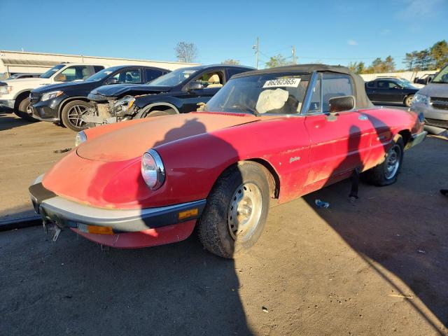 ALFA ROMEO SPIDER 1987 with VIN ZARBA5648H1045034 - Photo from auction