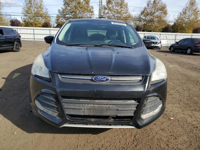 Photo 5 from auction – 2014 FORD ESCAPE SE with VIN 1FMCU9GX2EUD69656