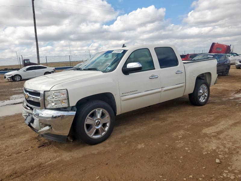 CHEVROLET SILVERADO 2013 with VIN 3GCPCSE07DG171839 - Photo from auction