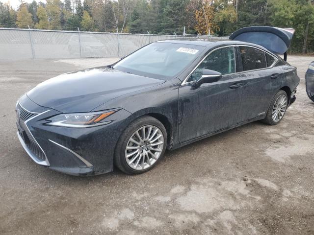 LEXUS ES 300H 2019 with VIN JTHB21B1XK2006277 - Photo from auction