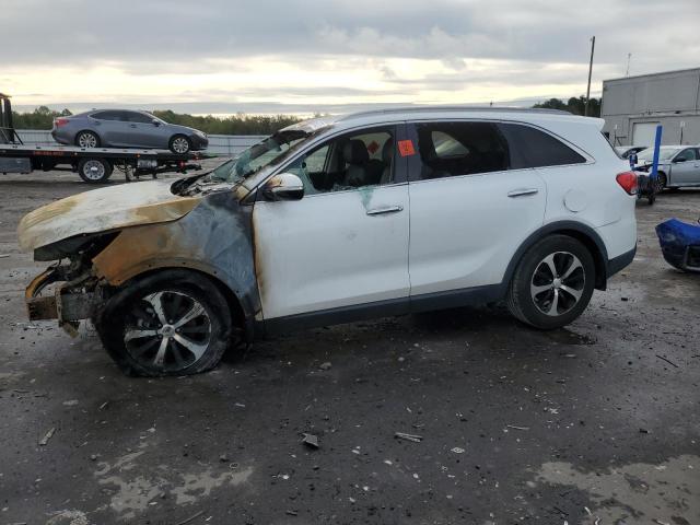 KIA SORENTO EX 2016 with VIN 5XYPH4A50GG172509 - Photo from auction