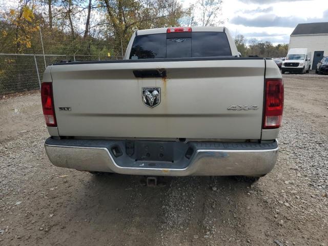 Photo 10 from auction – 2010 DODGE RAM 1500 with VIN 3D7JV1ET9AG160413