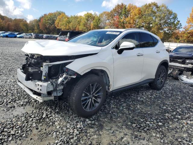 LEXUS NX 350 BAS 2024 с VIN 2T2AGCEZ1RC034102 - Фото с аукциона
