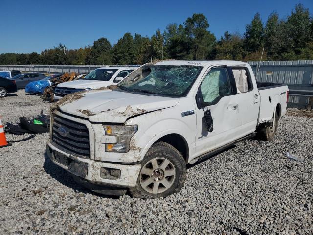 FORD F150 2015 with VIN 1FTFW1EG8FFA92369 - Photo from auction