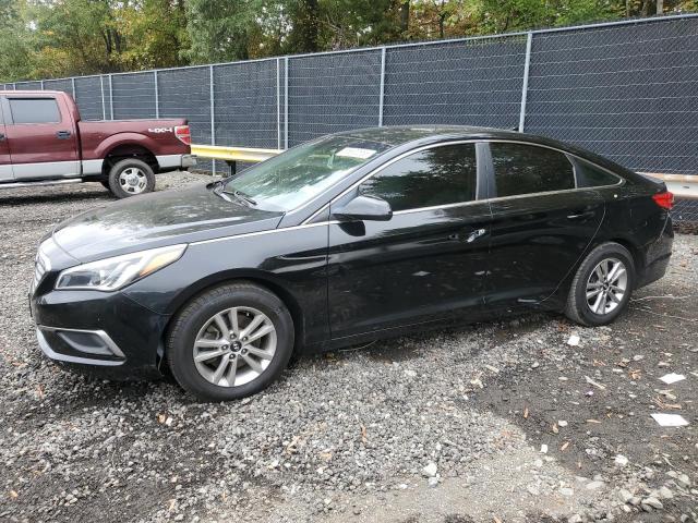 HYUNDAI SONATA SE 2016 with VIN 5NPE24AF3GH333123 - Photo from auction