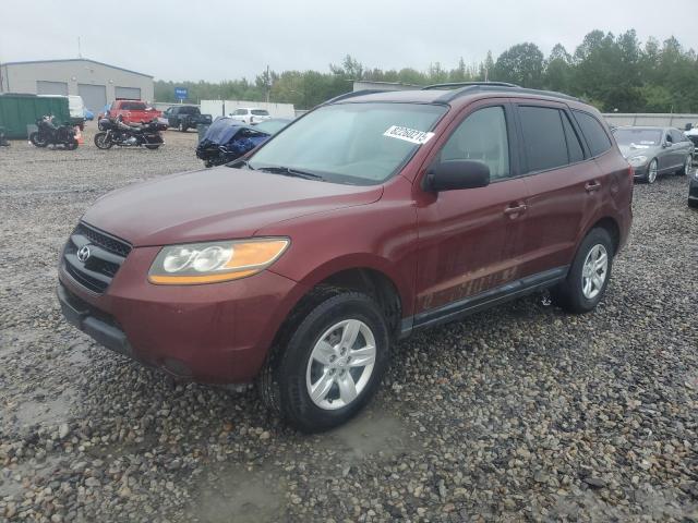 HYUNDAI SANTA FE G 2009 with VIN 5NMSG13D29H259272 - Photo from auction
