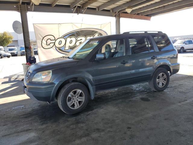 HONDA PILOT EXL 2005 with VIN 2HKYF18565H512587 - Photo from auction