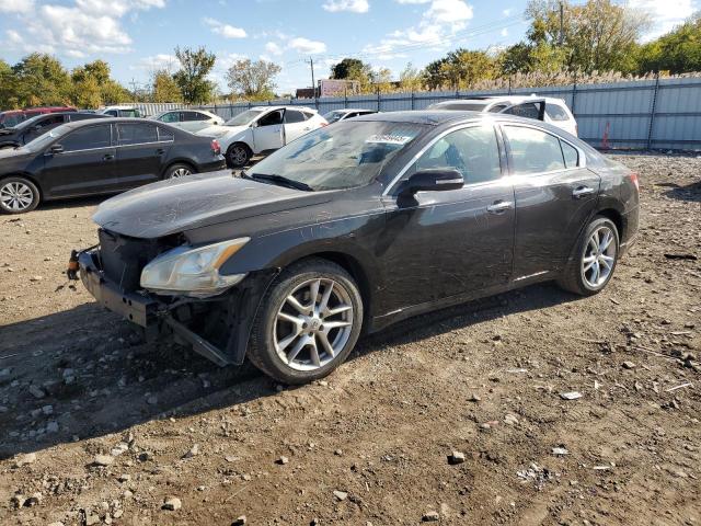 NISSAN MAXIMA S 2011 with VIN 1N4AA5AP8BC841405 - Photo from auction