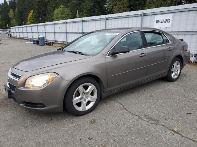 CHEVROLET MALIBU LS 2012 with VIN 1G1ZB5E09CF150285 - Photo from auction