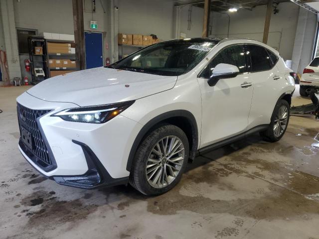 LEXUS NX 350H 2023 with VIN 2T2GKCEZ4PC012004 - Photo from auction