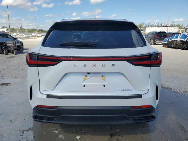 Photo 6 from auction – 2025 LEXUS NX 250 PRE with VIN 2T2GDCAZ7SC026066
