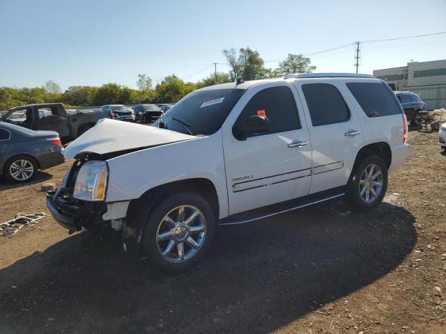 GMC YUKON DENA 2010 with VIN 1GKUKEEF8AR105599 - Photo from auction