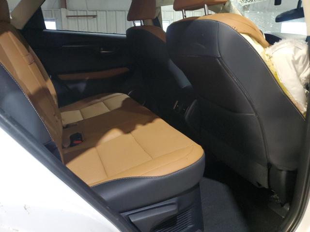 Photo 11 from auction – 2021 LEXUS NX 300 BAS with VIN JTJGARDZ2M5028347