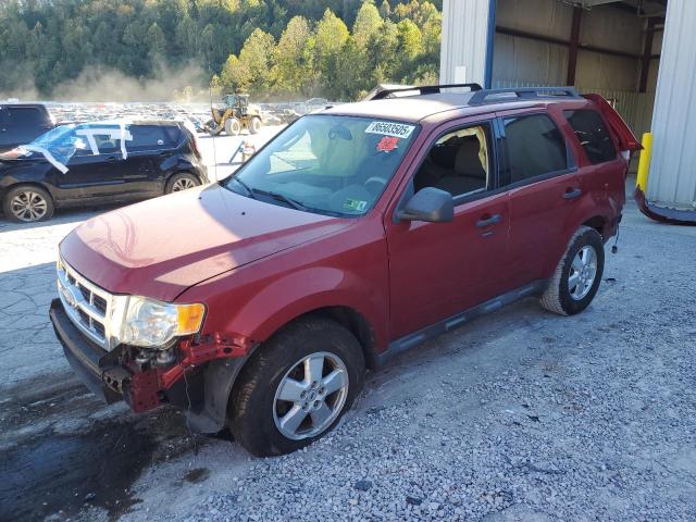 FORD ESCAPE 2009 with VIN 1FMCU93G39KC60131 - Photo from auction