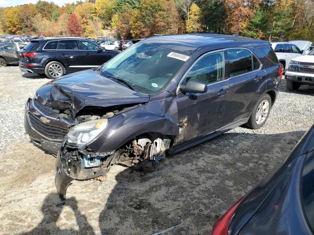 CHEVROLET EQUINOX LS 2016 with VIN 2GNFLEEK1G6300230 - Photo from auction