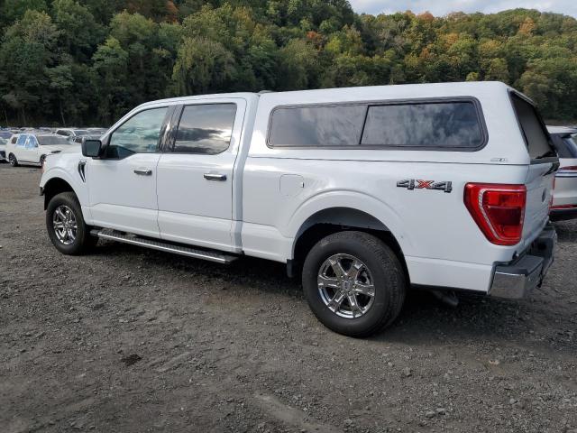 Photo 2 from auction – 2023 FORD F150 SUPERCREW with VIN 1FTFW1E52PFA37996