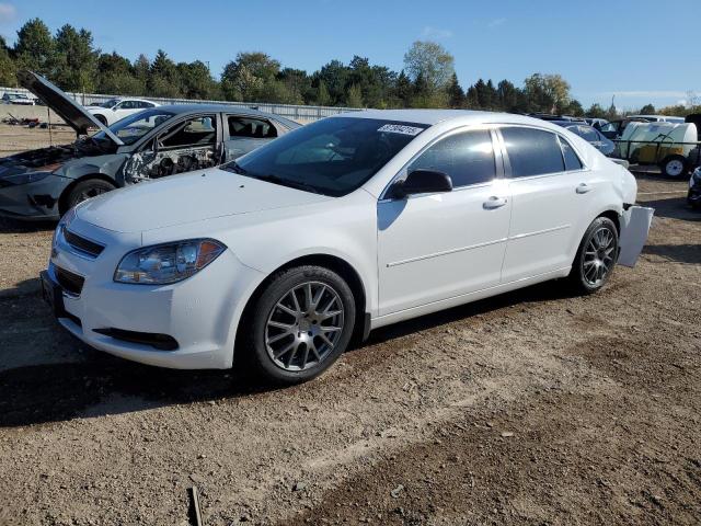 CHEVROLET MALIBU LS 2012 with VIN 1G1ZB5E0XCF201602 - Photo from auction