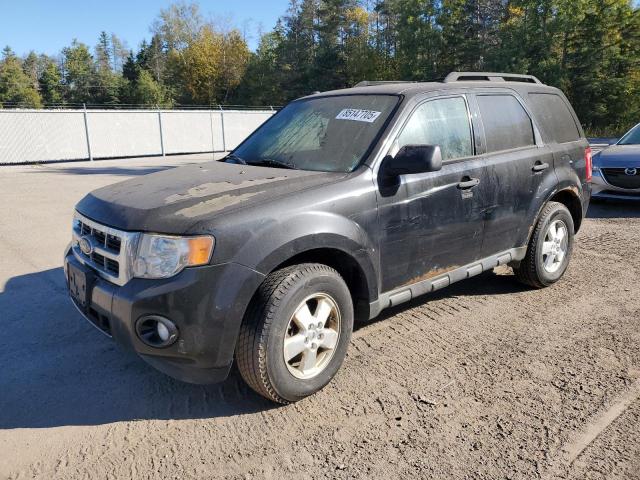 FORD ESCAPE XLT 2010 with VIN 1FMCU9D77AKB73688 - Photo from auction