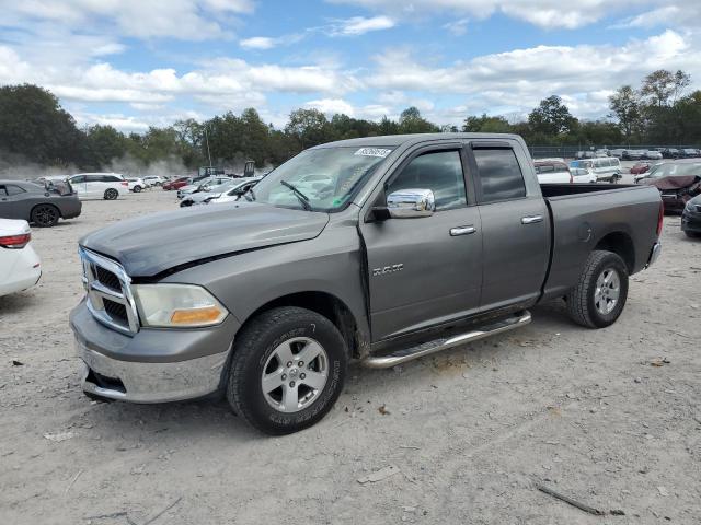 DODGE RAM 1500 2010 with VIN 1D7RV1GP3AS113406 - Photo from auction