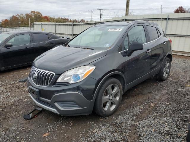 BUICK ENCORE 2013 with VIN KL4CJASB6DB167675 - Photo from auction