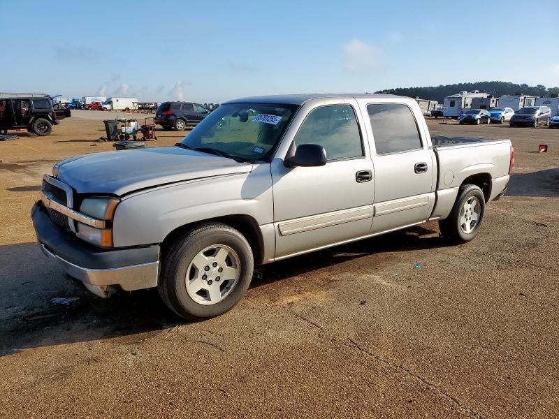 CHEVROLET SILVERADO 2005 with VIN 2GCEC13T051340351 - Photo from auction