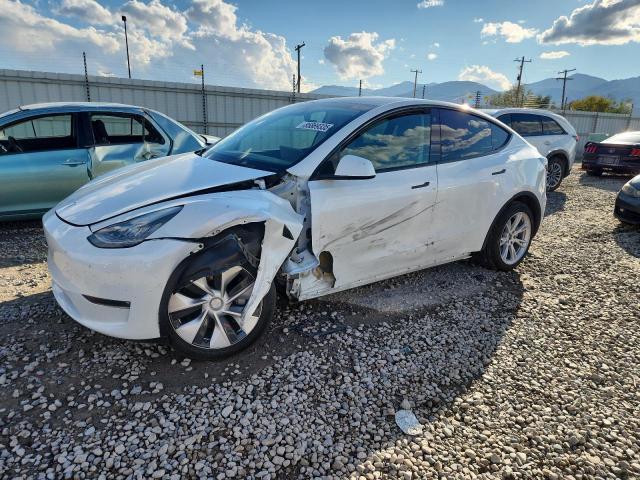 Снимка 1 от търг – 2021 TESLA MODEL Y с VIN 5YJYGDEE4MF200896