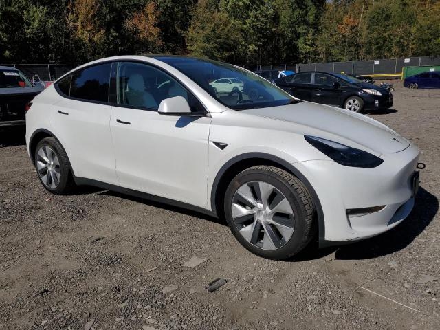 Photo 4 from auction – 2023 TESLA MODEL Y with VIN 7SAYGDEE5PF828831