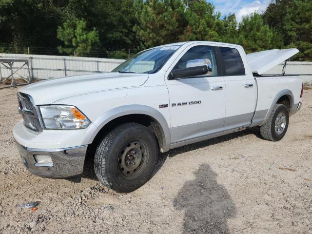 DODGE RAM 1500 L 2012 with VIN 1C6RD7JTXCS155717 - Photo from auction