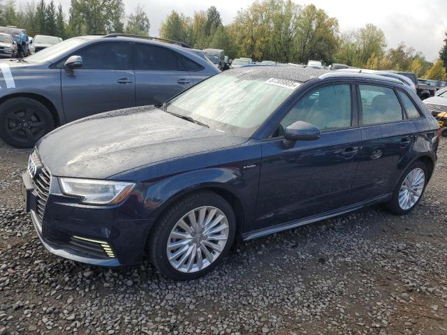 AUDI A3 E-TRON 2017 with VIN WAUUPBFF1HA036741 - Photo from auction