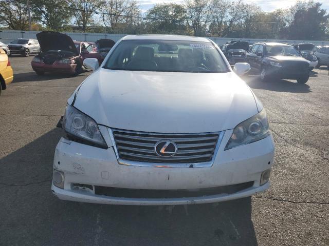 Photo 5 from auction – 2011 LEXUS ES 350 with VIN JTHBK1EG3B2465859