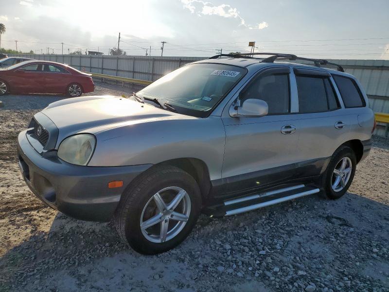 HYUNDAI SANTA FE 2003 with VIN KM8SC13D43U428862 - Photo from auction