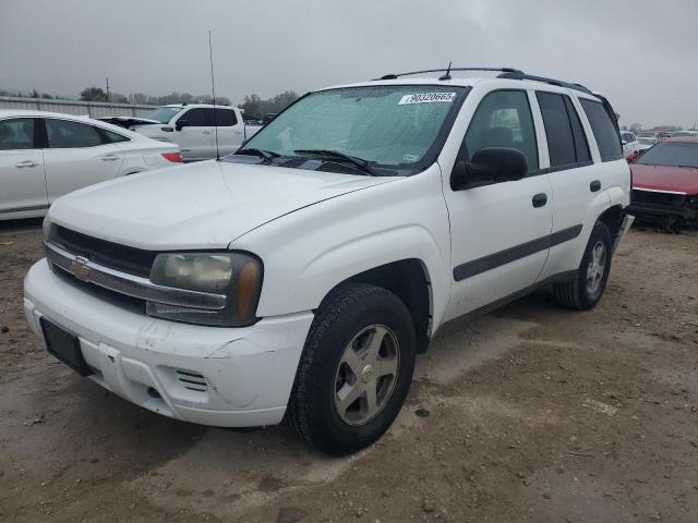 CHEVROLET TRAILBLAZE 2005 with VIN 1GNDT13S052110237 - Photo from auction