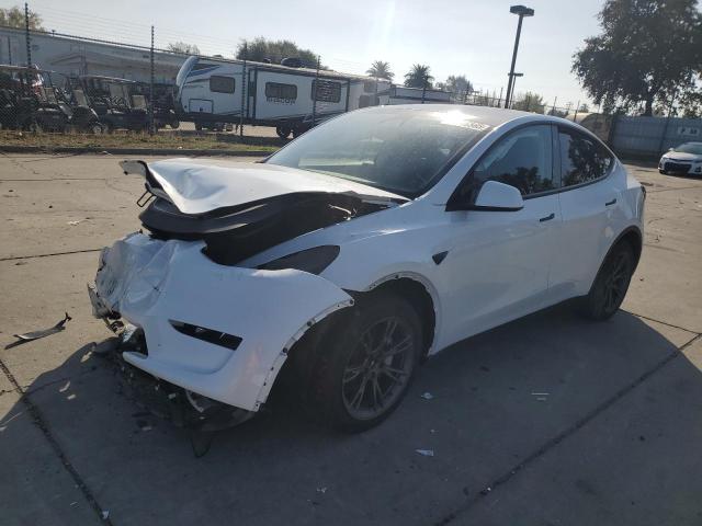 TESLA MODEL Y 2024 with VIN 7SAYGDED4RF184698 - Photo from auction
