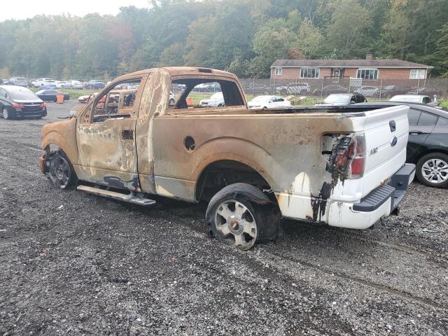 Photo 2 from auction – 2010 FORD F150 with VIN 1FTMF1CW3AFD63025